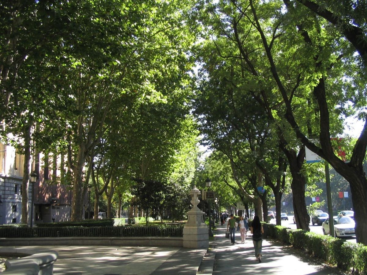 1200px-Paseo_del_Prado_Madrid_02